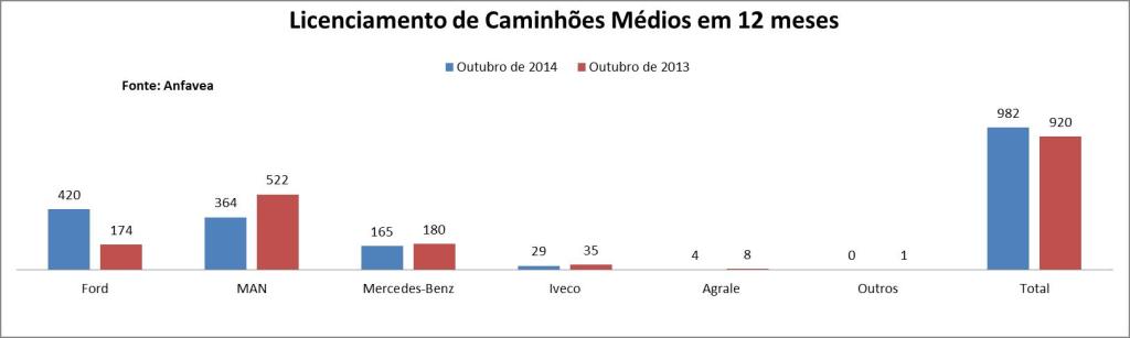 12 meses